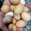 Far, fresh eggs Dozen Eggs