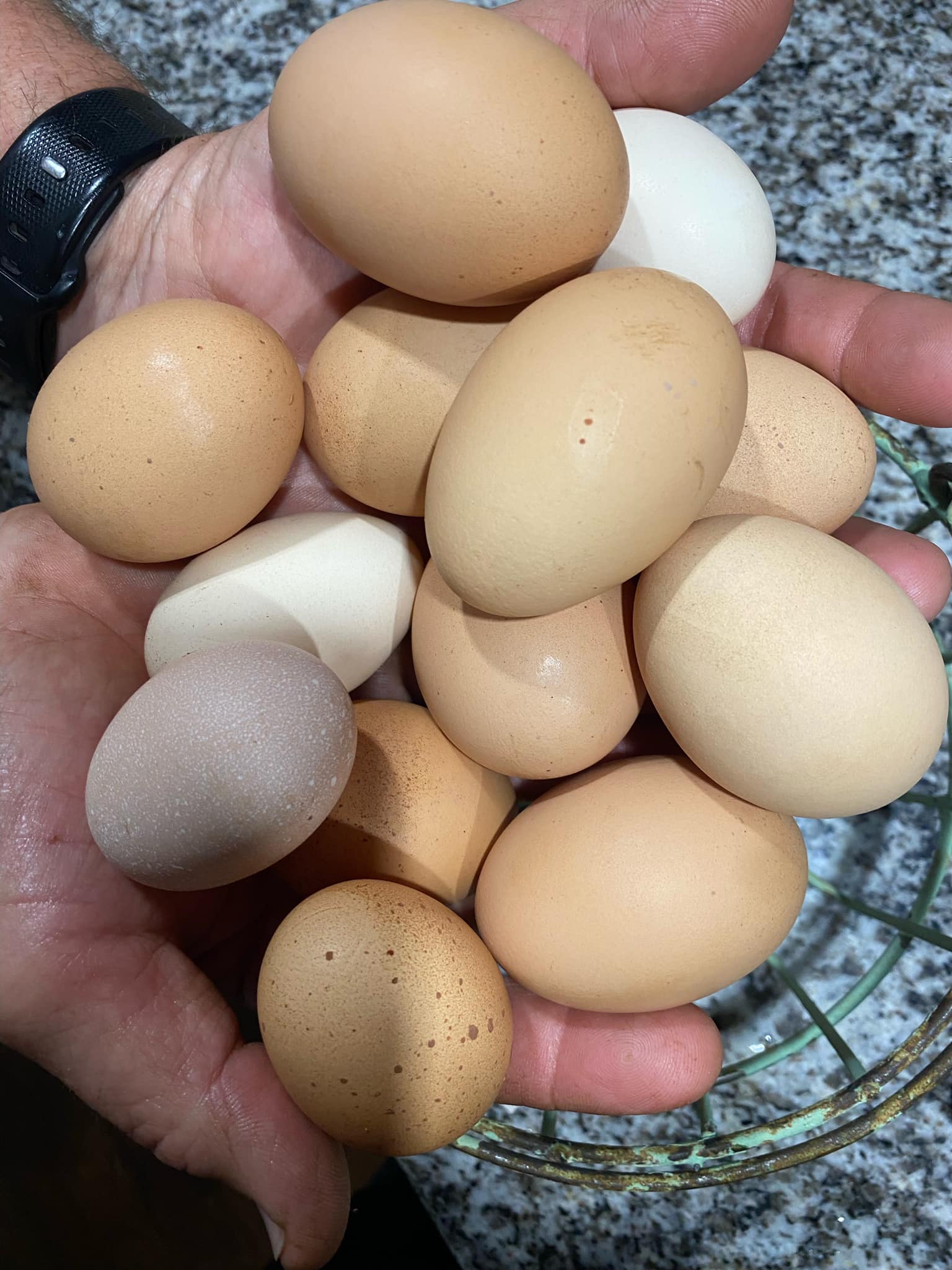 Far, fresh eggs Dozen Eggs