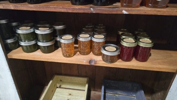 Wild Blueberry & Vanilla Jam