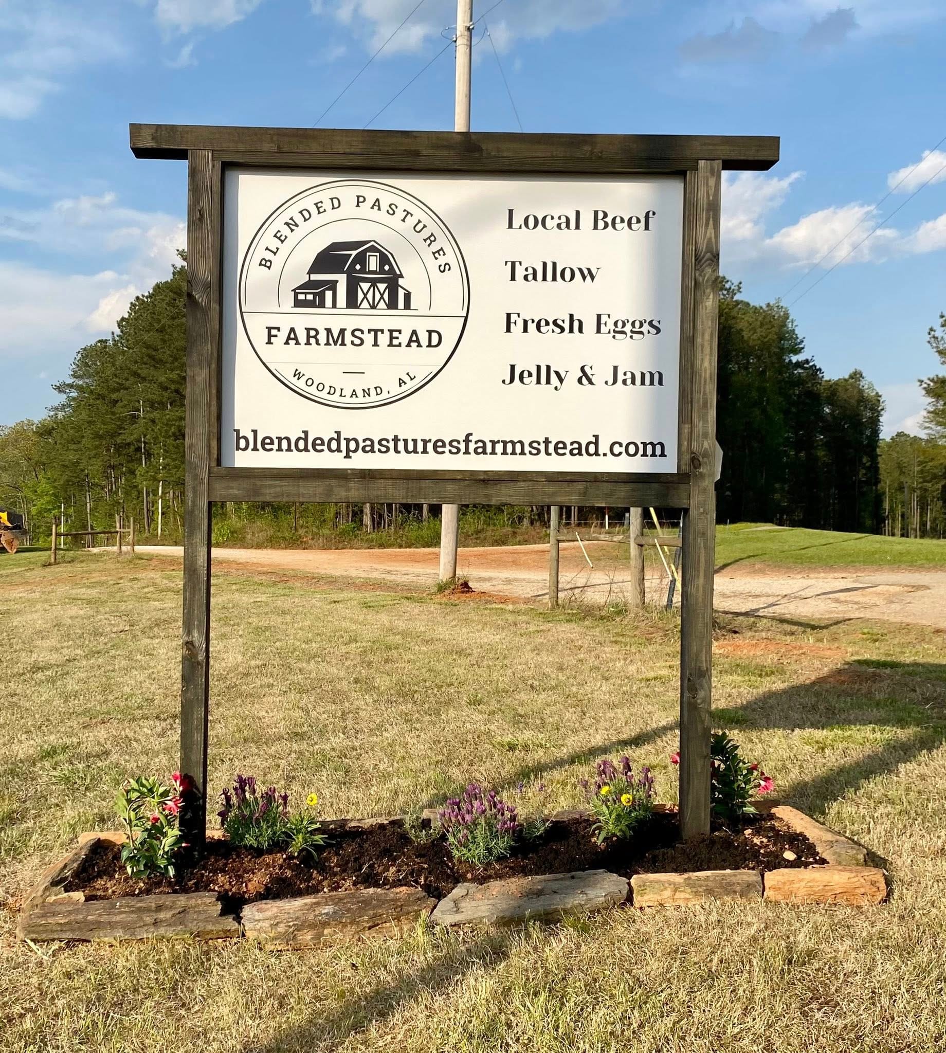 498614144_1249555313838118_5253150890249521117_n 3 for Jelly