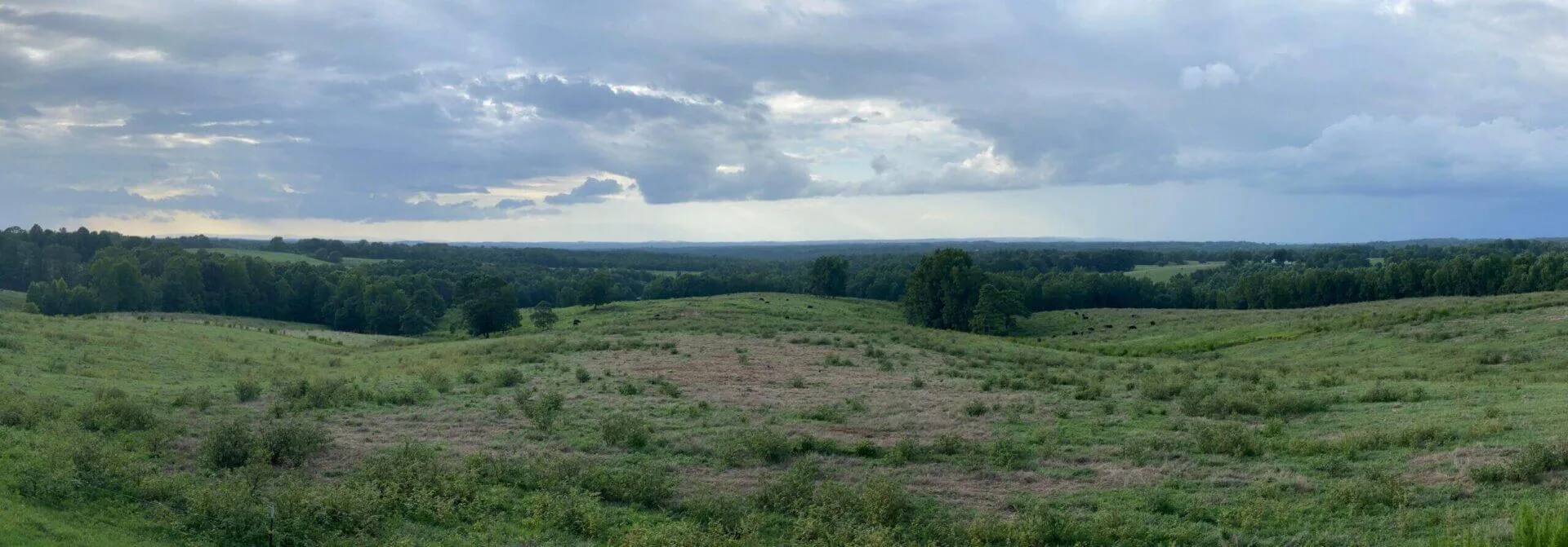 Pasture at Blended Pastures Farmstead in Alabama