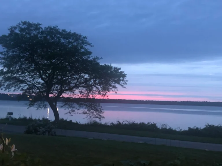 The Summer Lake-Day Skin Routine: Cozy Cleanse + Fresh Linen Finish (Tallow Soap + Whipped Tallow) 2 lake days